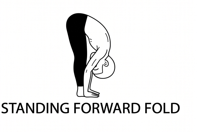 Visual sketch of Standing Forward Fold (Uttanasana)